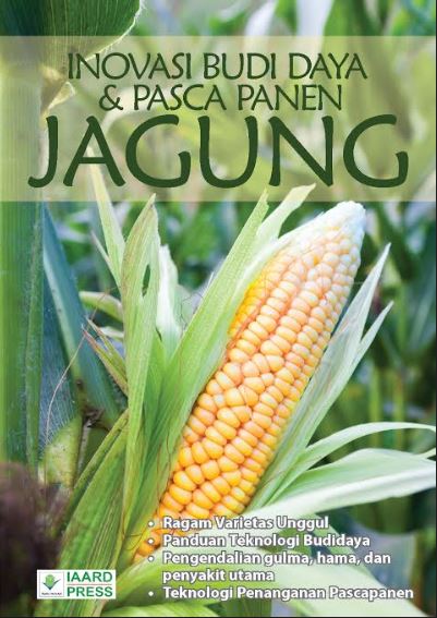 INOVASI BUDI DAYA & PASCA PANEN JAGUNG