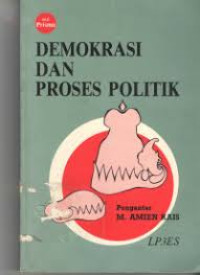 Image of Demokrasi Dan Proses Politik
