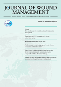 Image of EWMA Journal, 2024