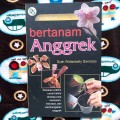 Bertanam anggrek