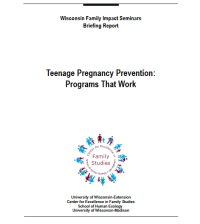 Image of E-Book : Teenage Pregnancy Prevention : Programs That Work