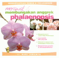 Merawat dan membungakan anggrek phalaenopsi
