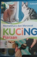 Memelihara dan Merawat Kucing Piaraan