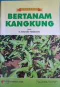 Bertanam Kangkung