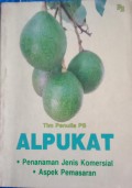 Alpukat 