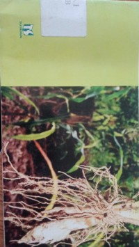 Image of Memanfaatkan Lahan Marginal Dengan Tanaman Garut