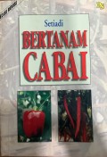 BERTANAM CABAI
