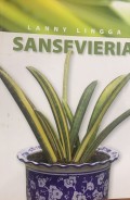 Sansevieria