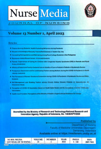 Image of Journal : nurse media journal of nursing 2023