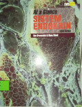At a Glance Sistem Endokrin
